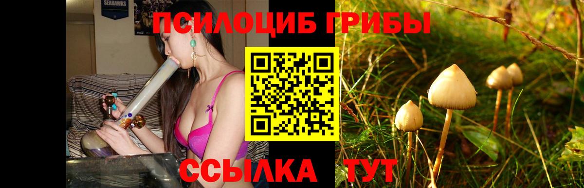 купить  цена  Псилоцибиновые грибы Psilocybe  Вход с VPN  Шарыпово 